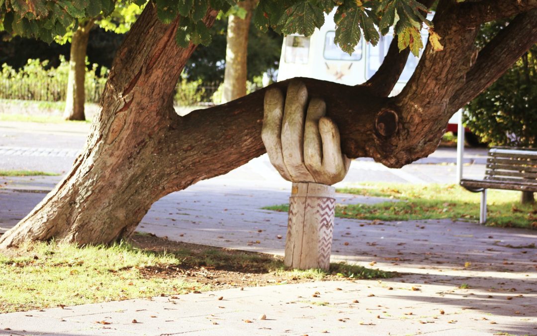 A photo of a tree being held up by aa hand made of wood as a symbol of support for anxiety and depression