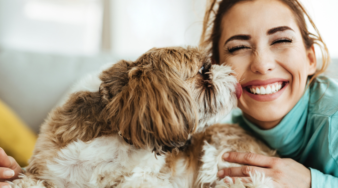 7 Ways Pets Help Highly Sensitive People Lead Happier, Healthier Lives