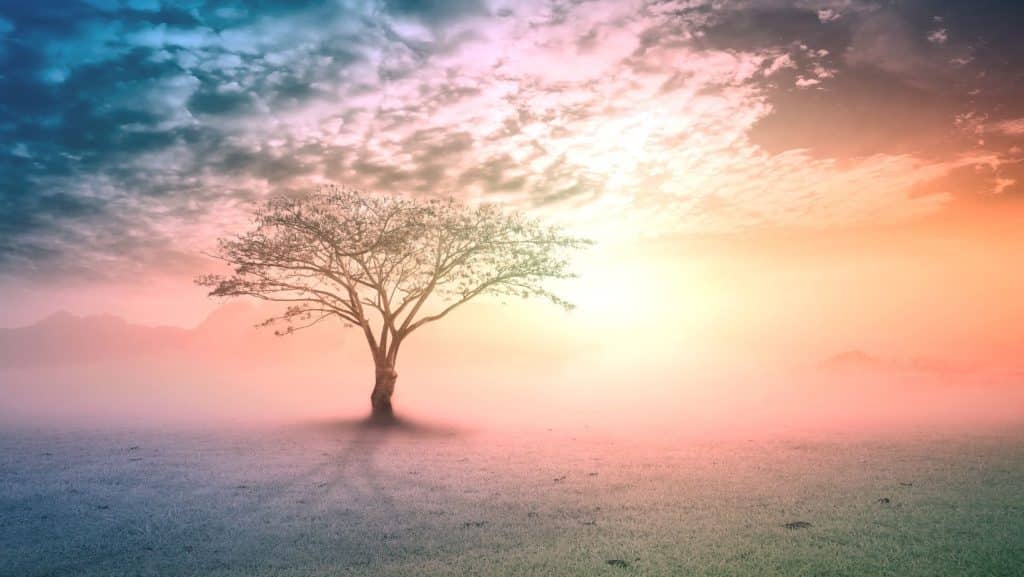 Gentle Spring Rituals for HSPs